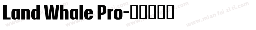 Land Whale Pro字体转换